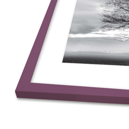 Rammer fra Incado i Berry Conserve, mange størrelser, fra 60 kr.