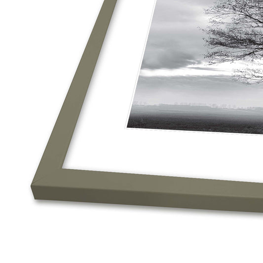 Rammer fra Incado i Green Leaf, flere størrelser, fra 60 kr.