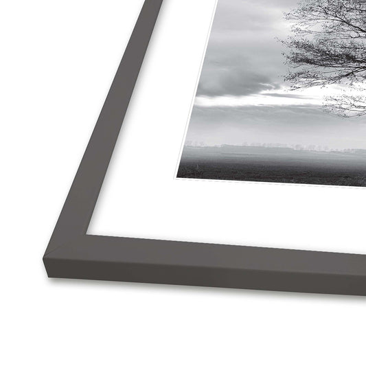 Rammer fra Incado i Modern Grey, mange størrelser, fra 60 kr.